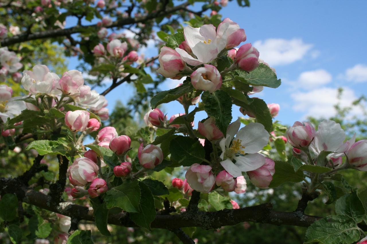 Gaestrum Gnottnehult Osterbymo Экстерьер фото